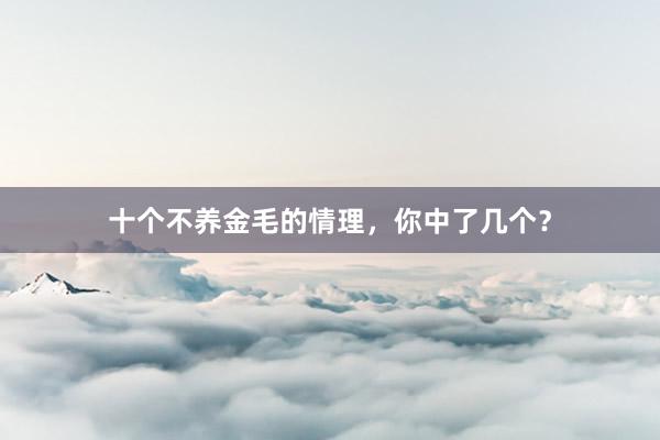十个不养金毛的情理，你中了几个？